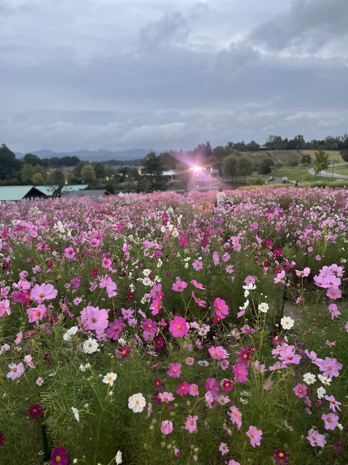 CLUB Reve日記1621099