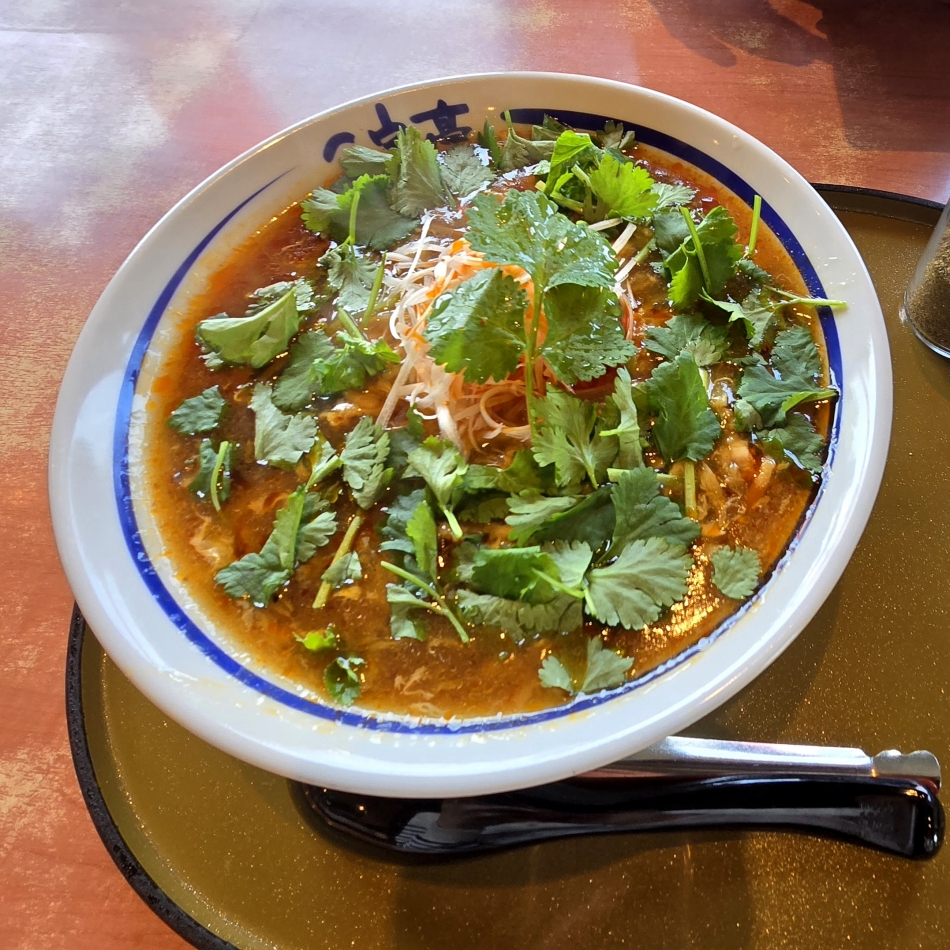 一条 葵