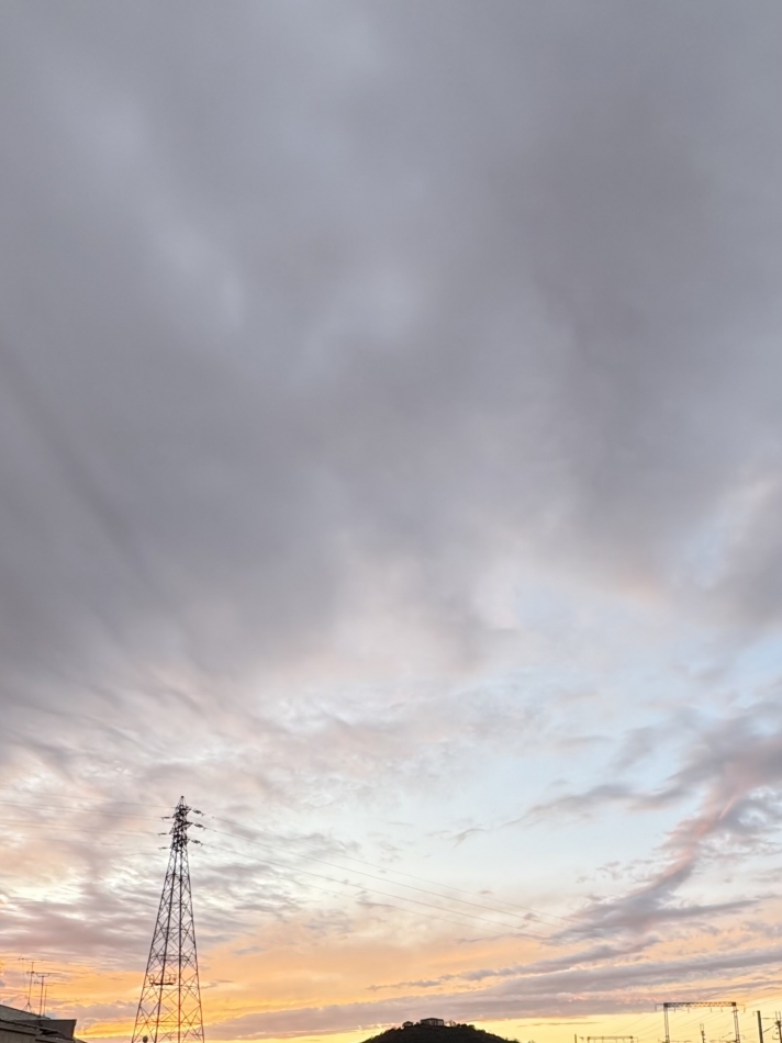 スナックBar Peace日記1562220