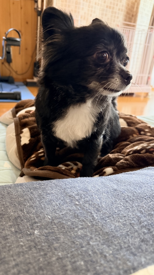 Lounge Anshu日記1556064