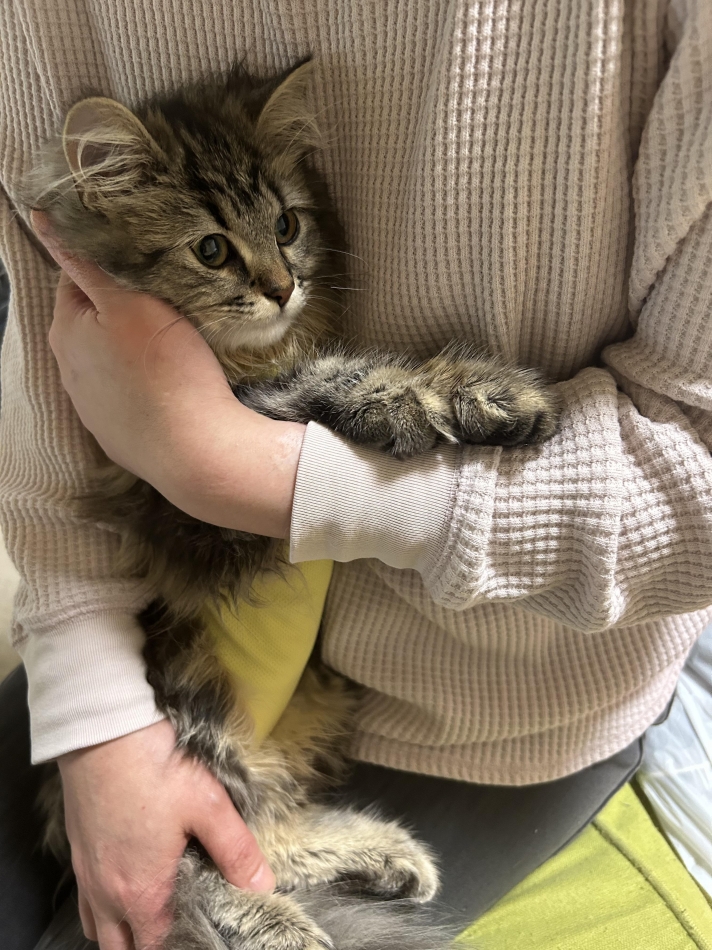 5月23日 16時04分のブログ