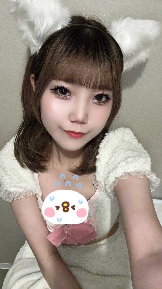 白猫にゃんこ😸