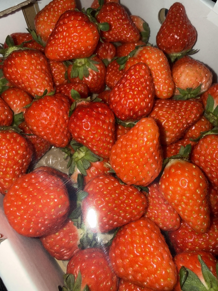 Lounge Veranda日記1617825