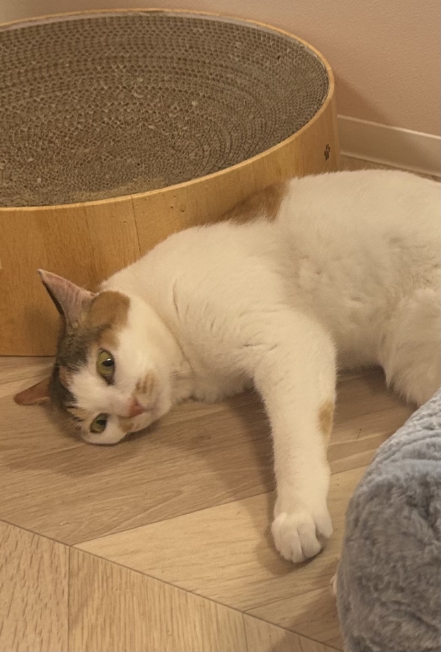 こんばんは～！