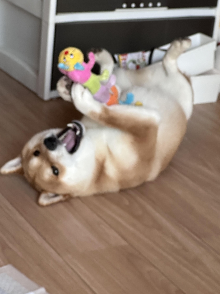 CLUB Red日記1373812