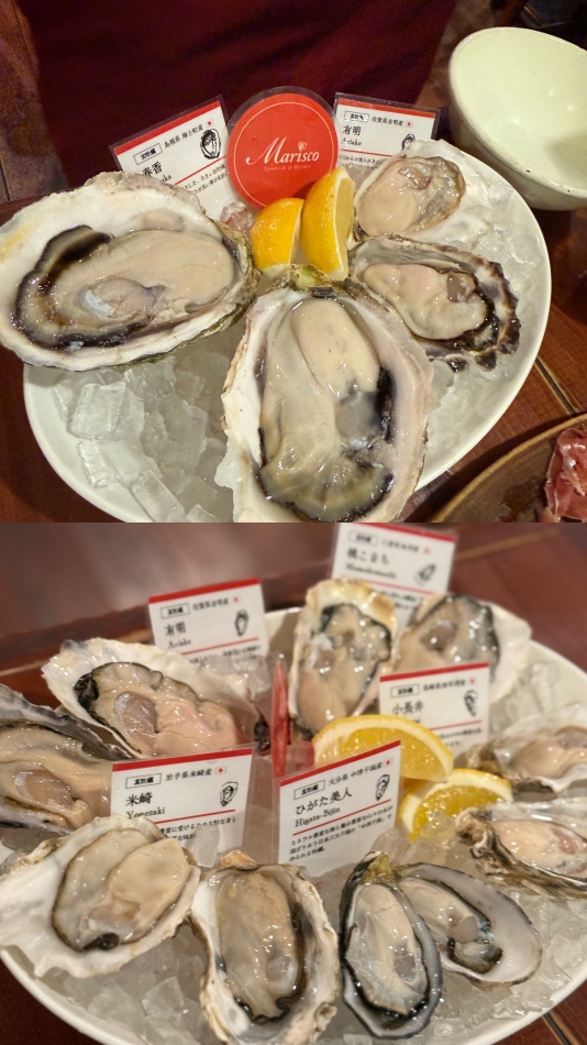 一条 葵