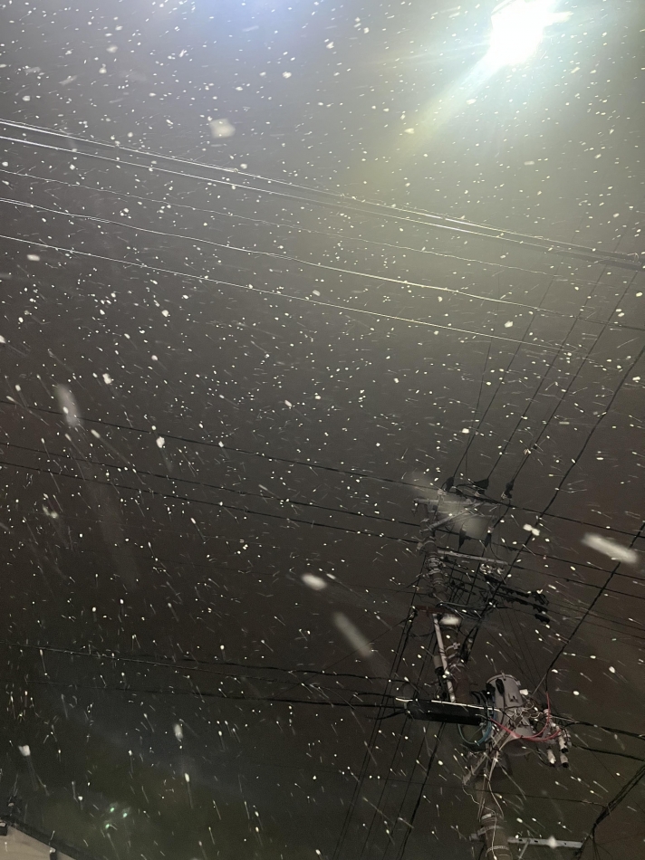 ふわふわの雪❄💓