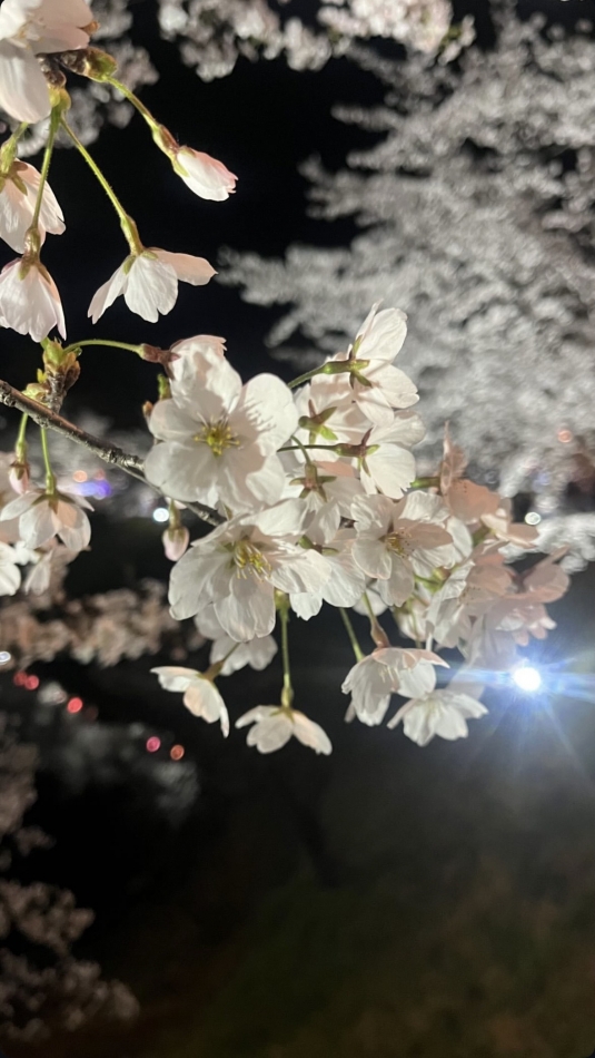 CLUB　Paladin日記1632957