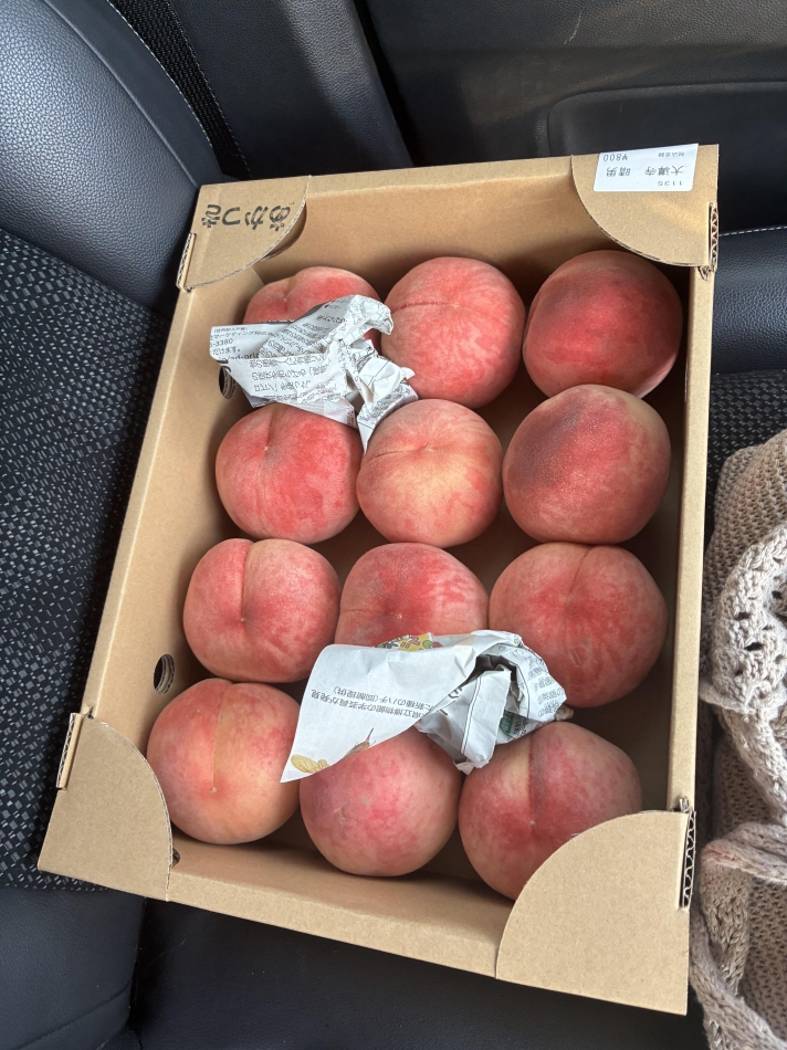 clubTiara日記1435461