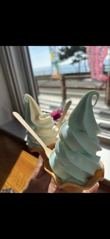 一条 葵