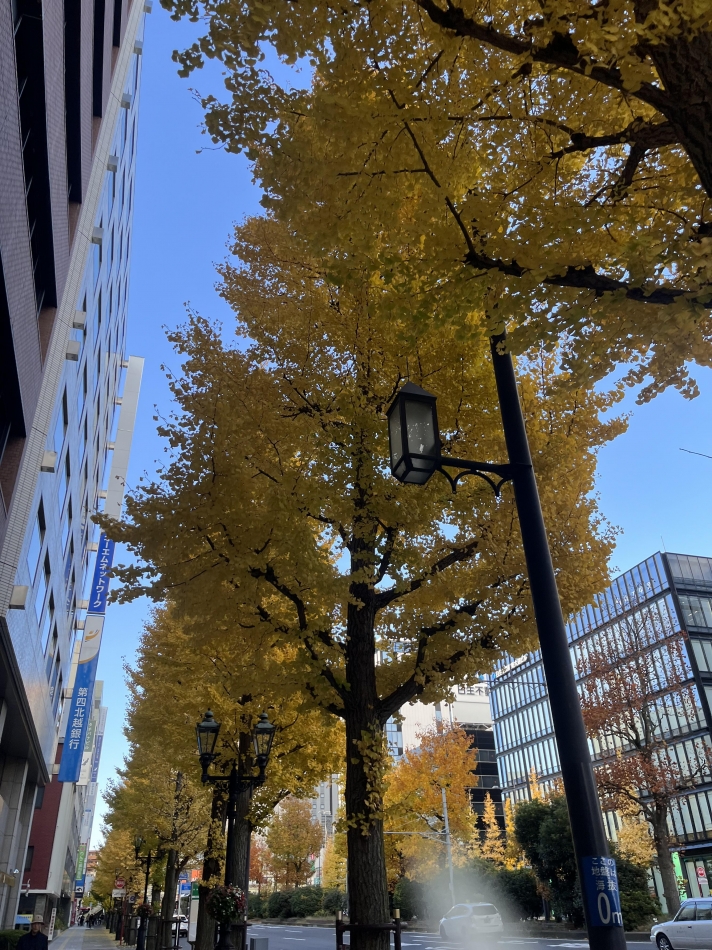 スナックBar Peace日記1546404