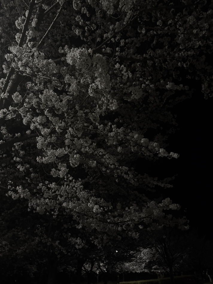 CLUB BOSS日記1634694