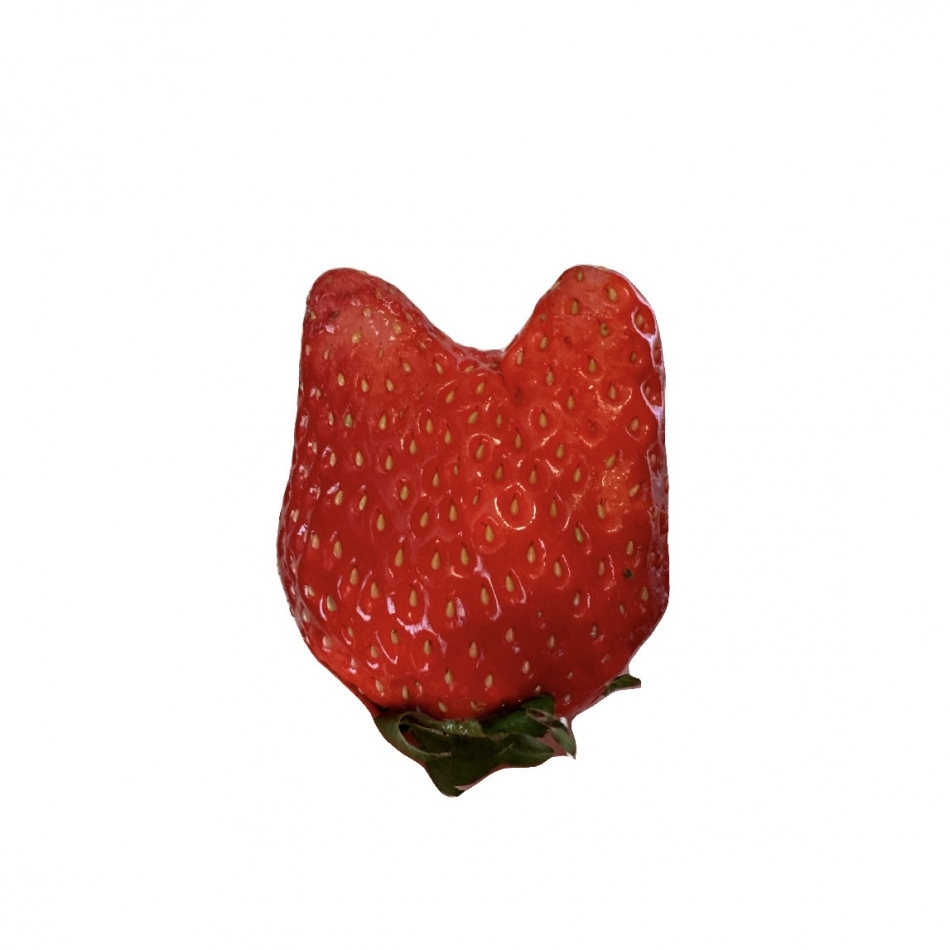 クラブ プラチナ 諏訪日記1607279