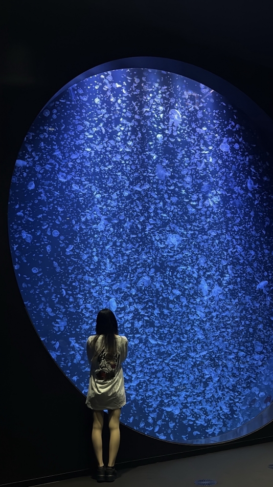 Lounge en&.日記1567485