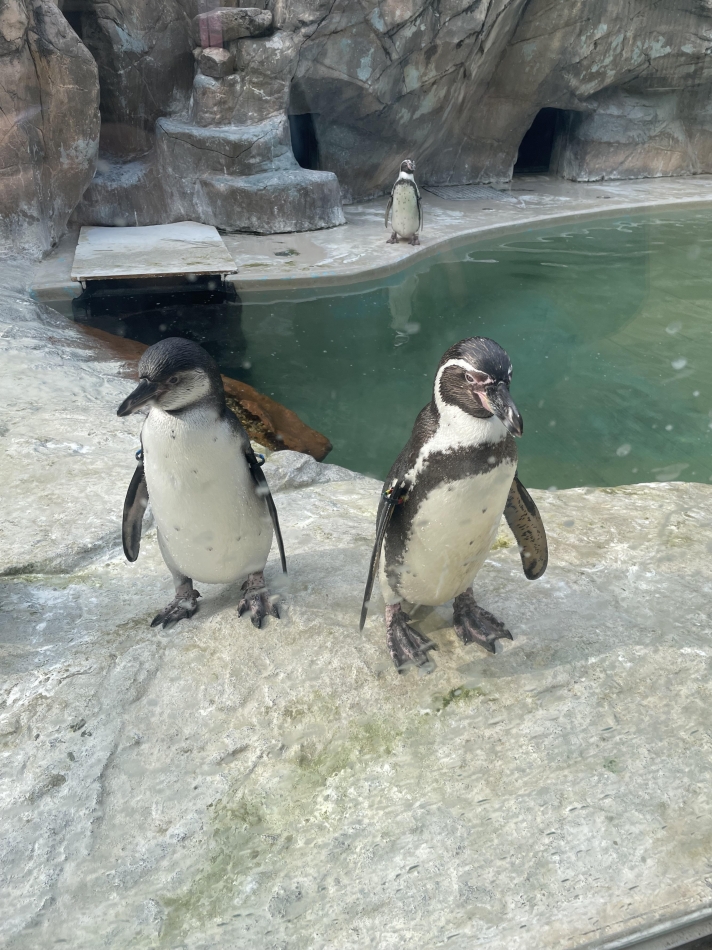 L'asile日記1623817