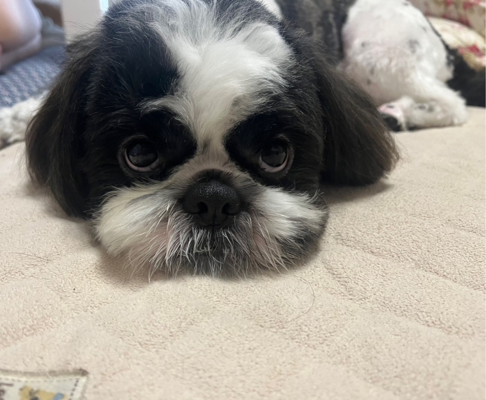 何この生き物❣️