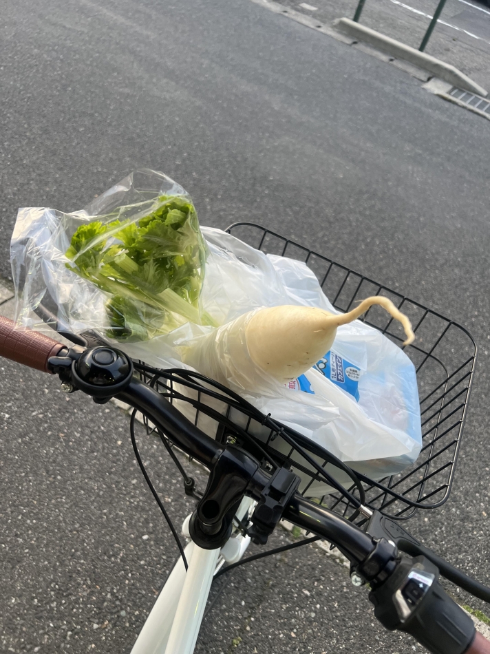 こんな写真選ぶやつ他にいる？