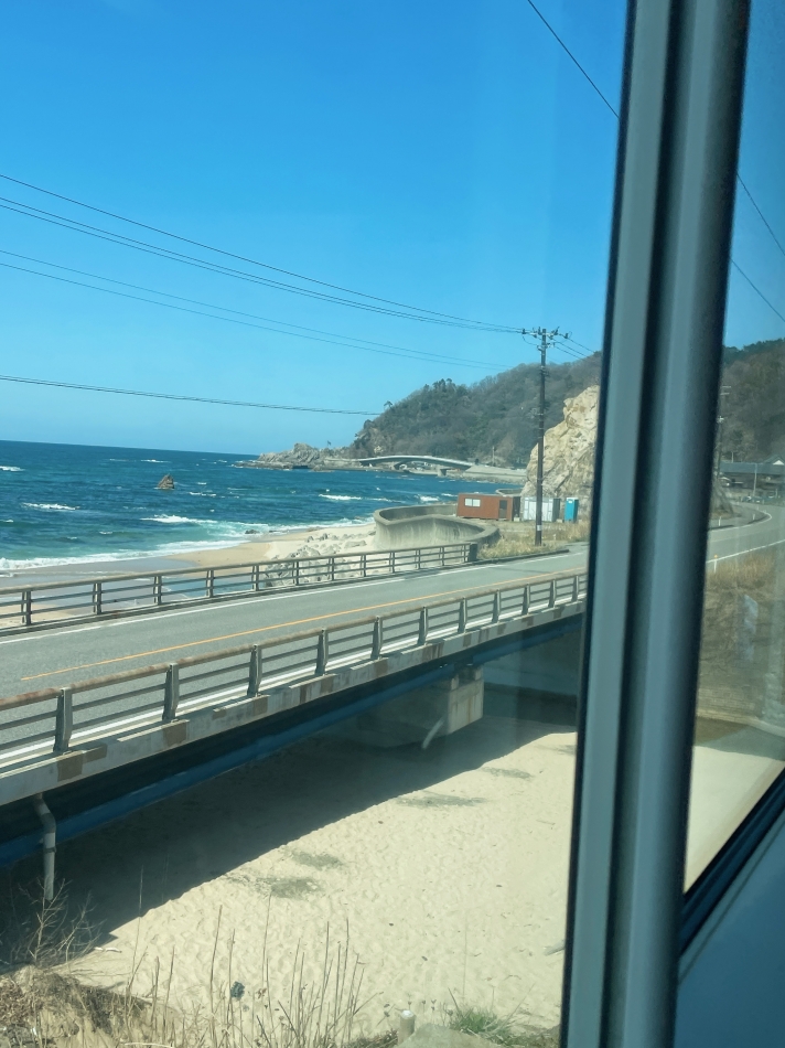 桜もう散った？