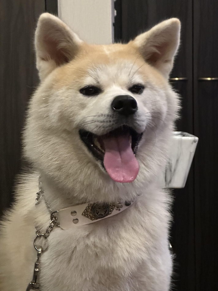 lounge Remika日記1468304