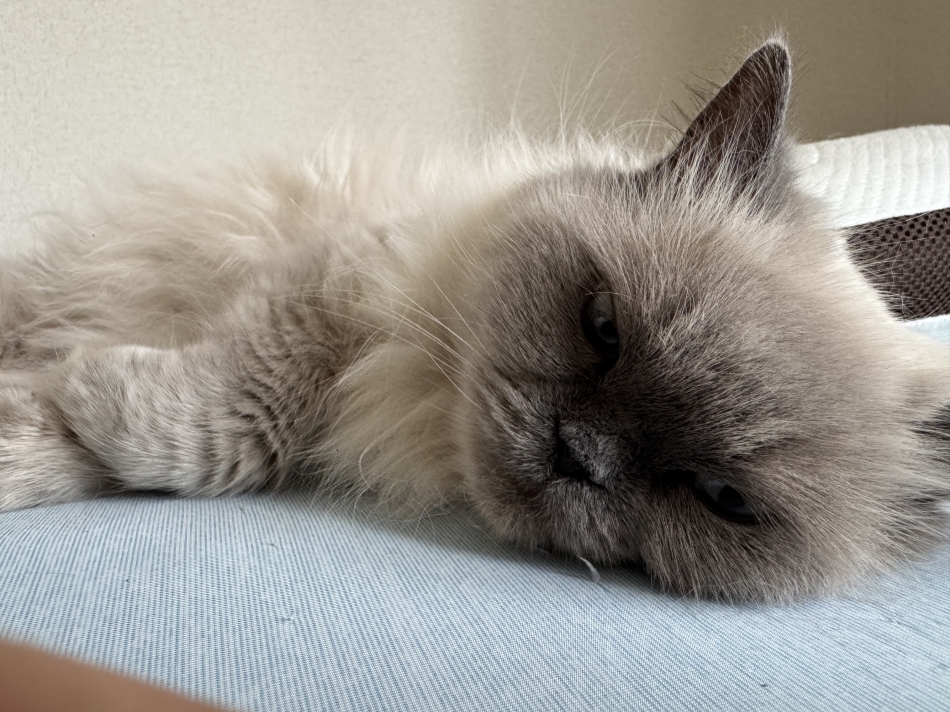 酒鬱が始まった