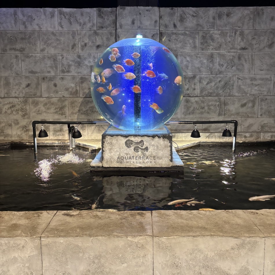 Girls Bar Philia日記1274932