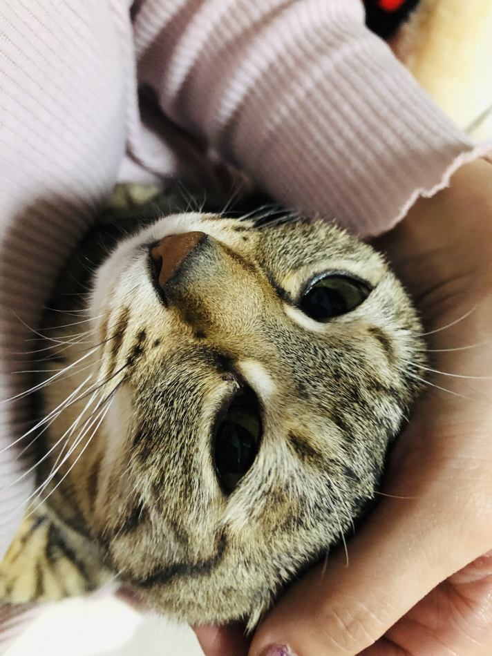 20時半出勤❣️