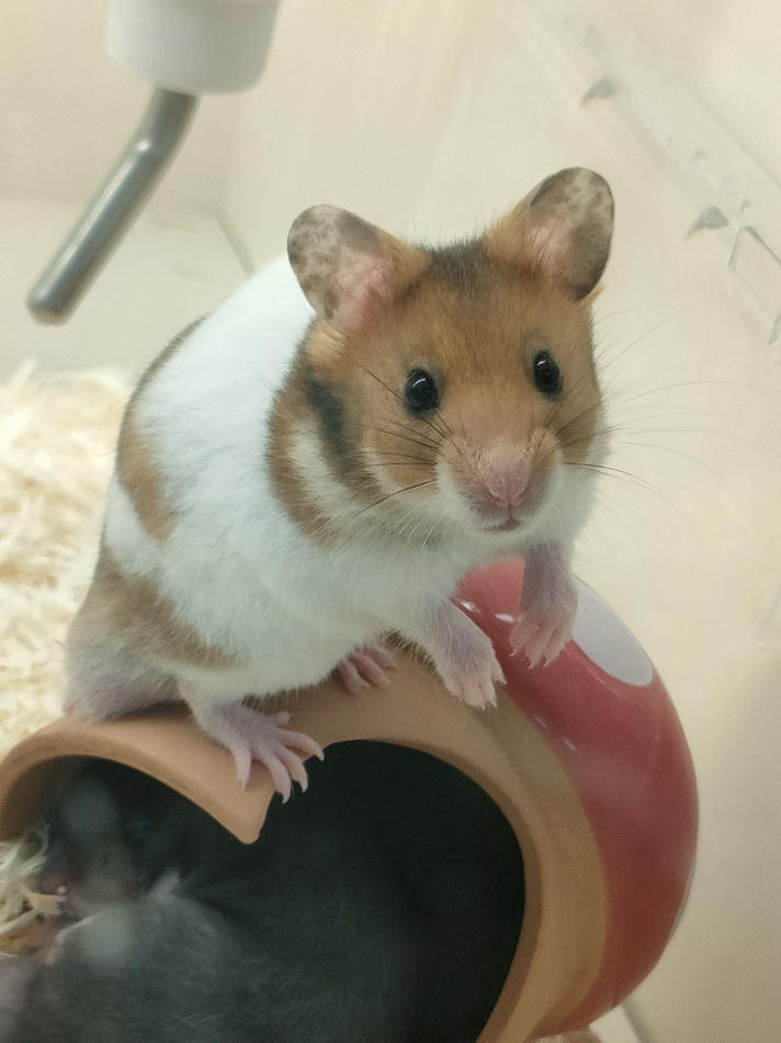 CLUB ASLI日記1446329