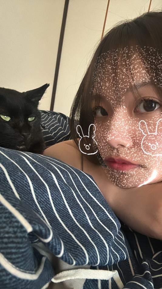 うちの猫は天才