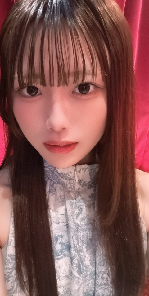一条 葵