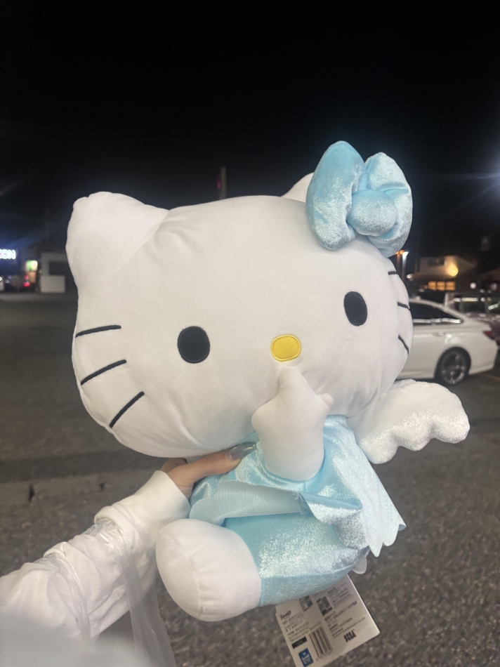 LYNX日記1679099
