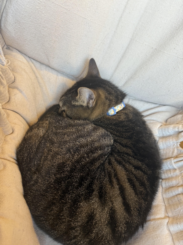 CLUB BOSS日記1526213