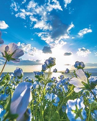 CLUB FOUR LEAF日記1641720