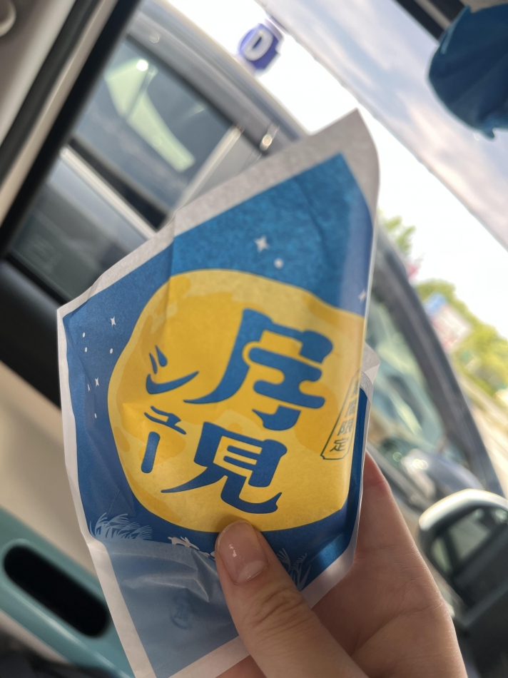 Armada日記1767971