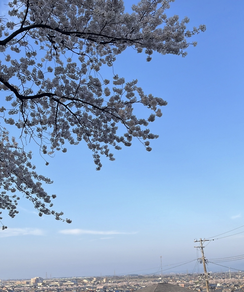 つき