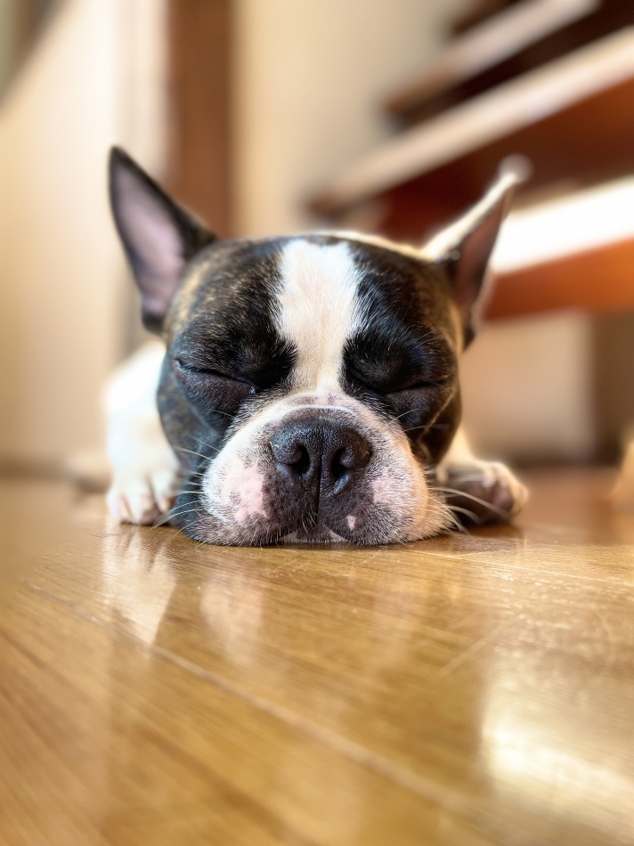 かわちい🫶🏻