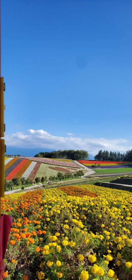 緊急事態！携帯無いです