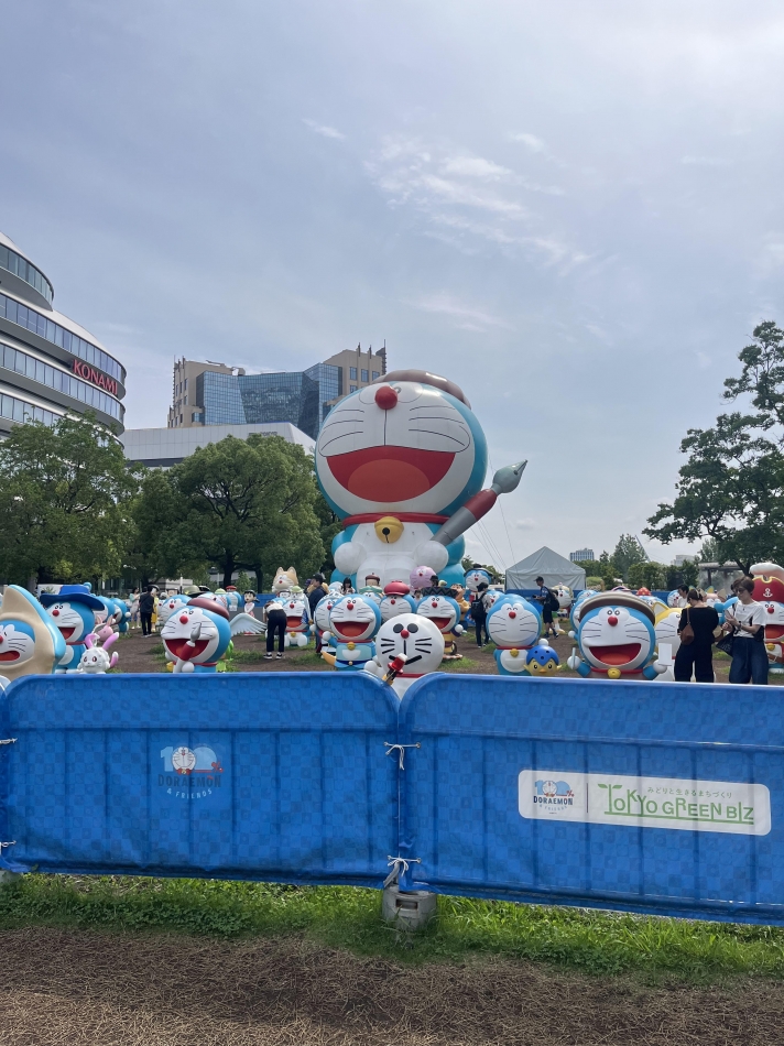 一条 葵