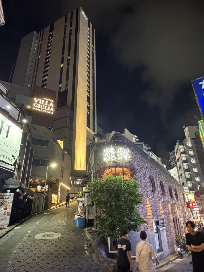 一条 葵