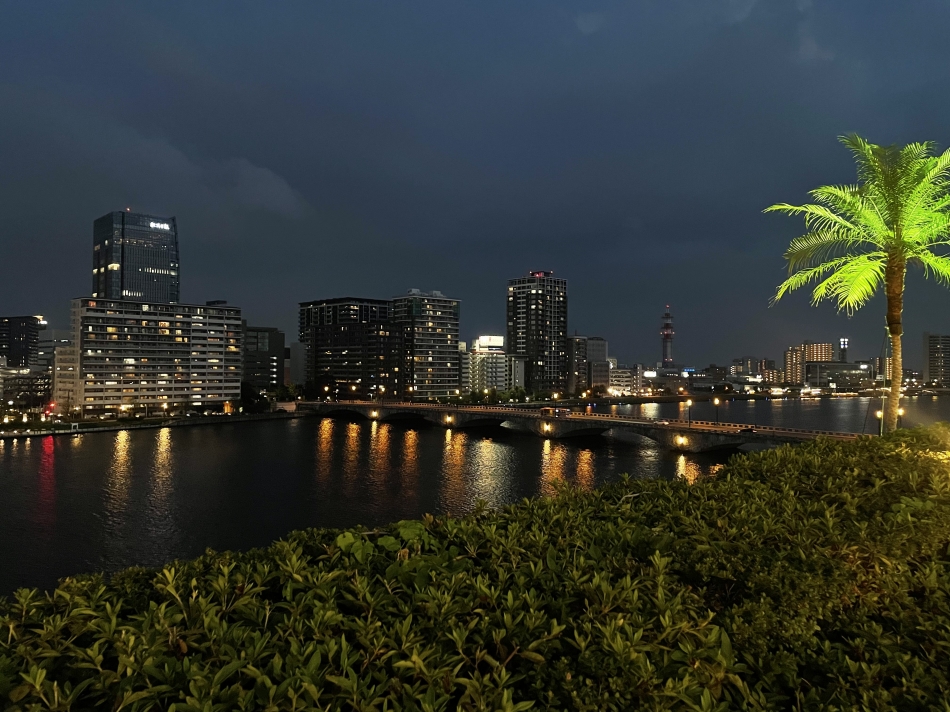 一条 葵