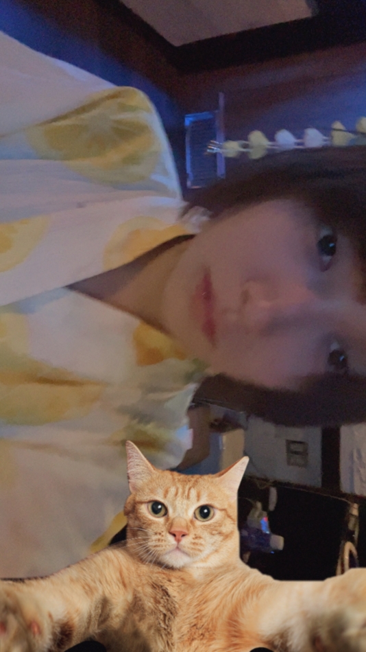 一条 葵