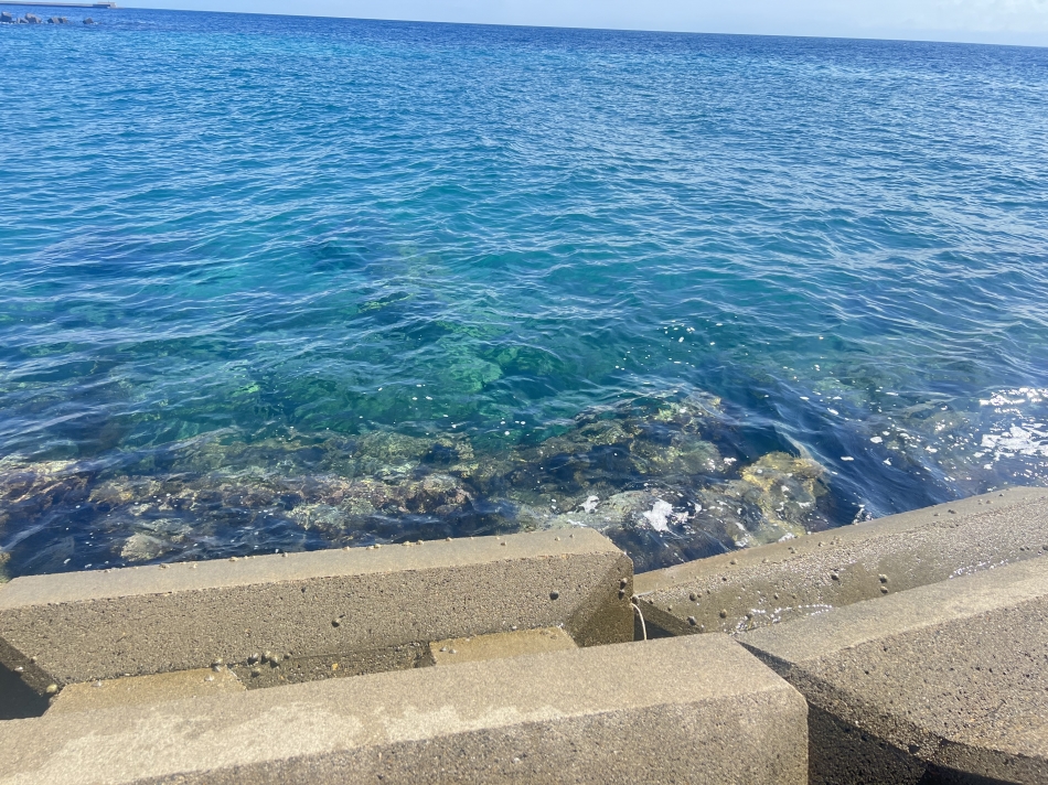 ばちばちに綺麗すぎる！！！！