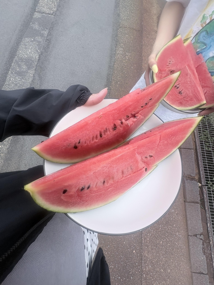 一条 葵