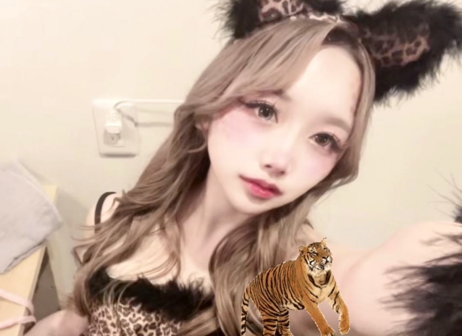 一条 葵