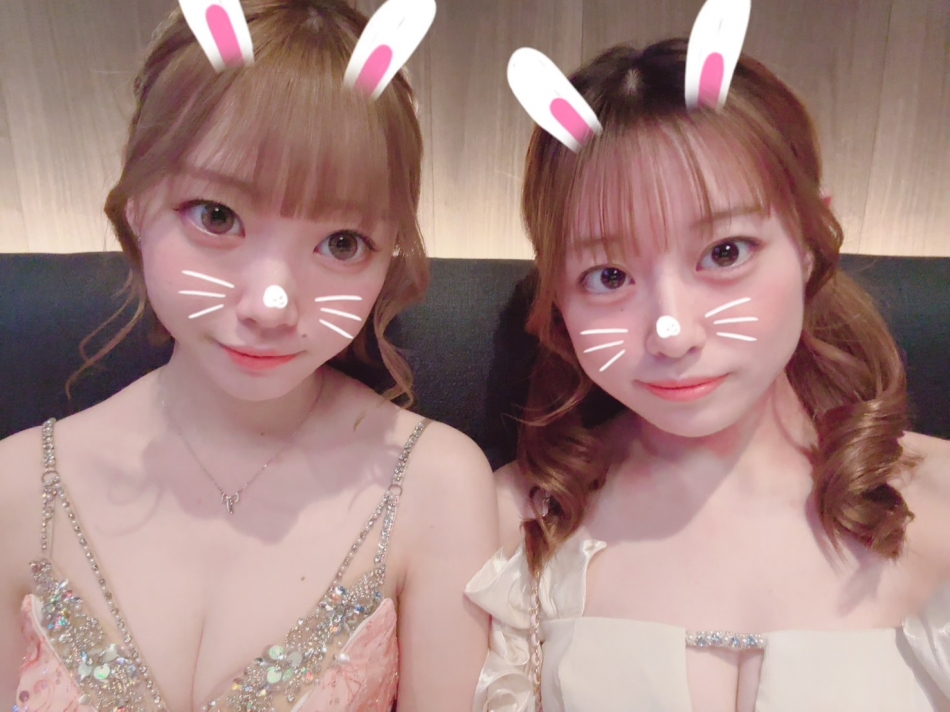 一条 葵