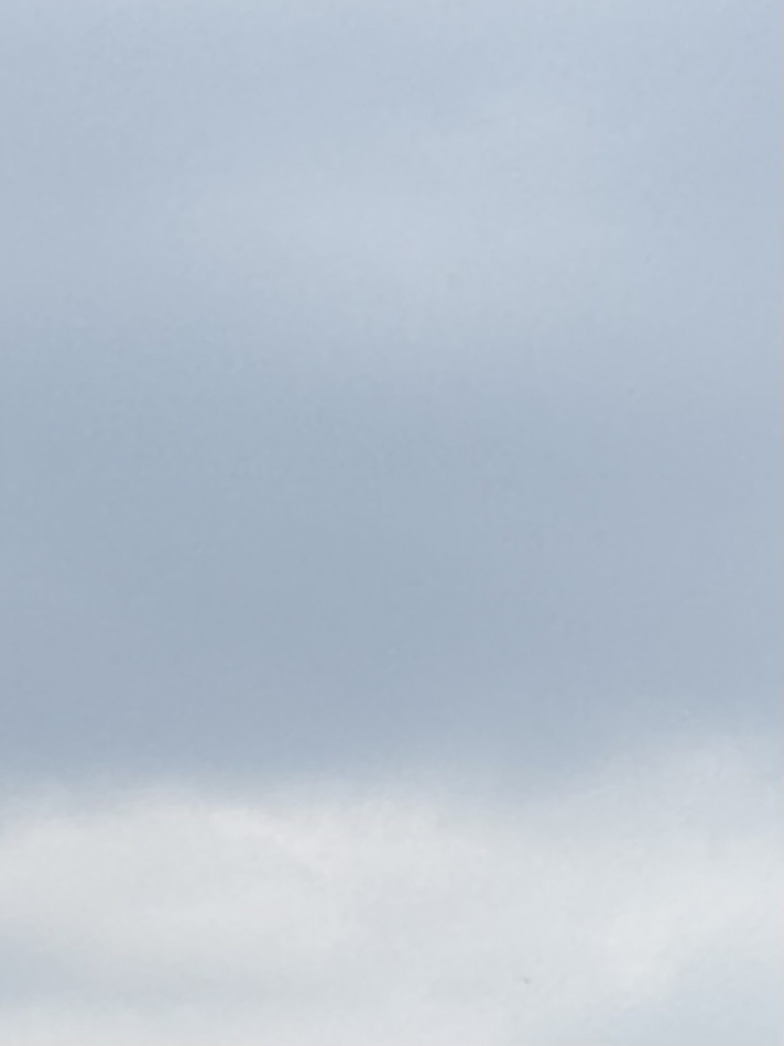 CLUB Reve日記1634010