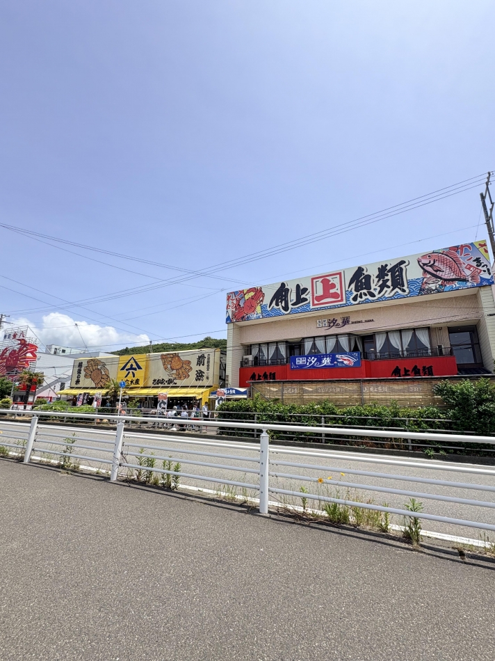 一条 葵