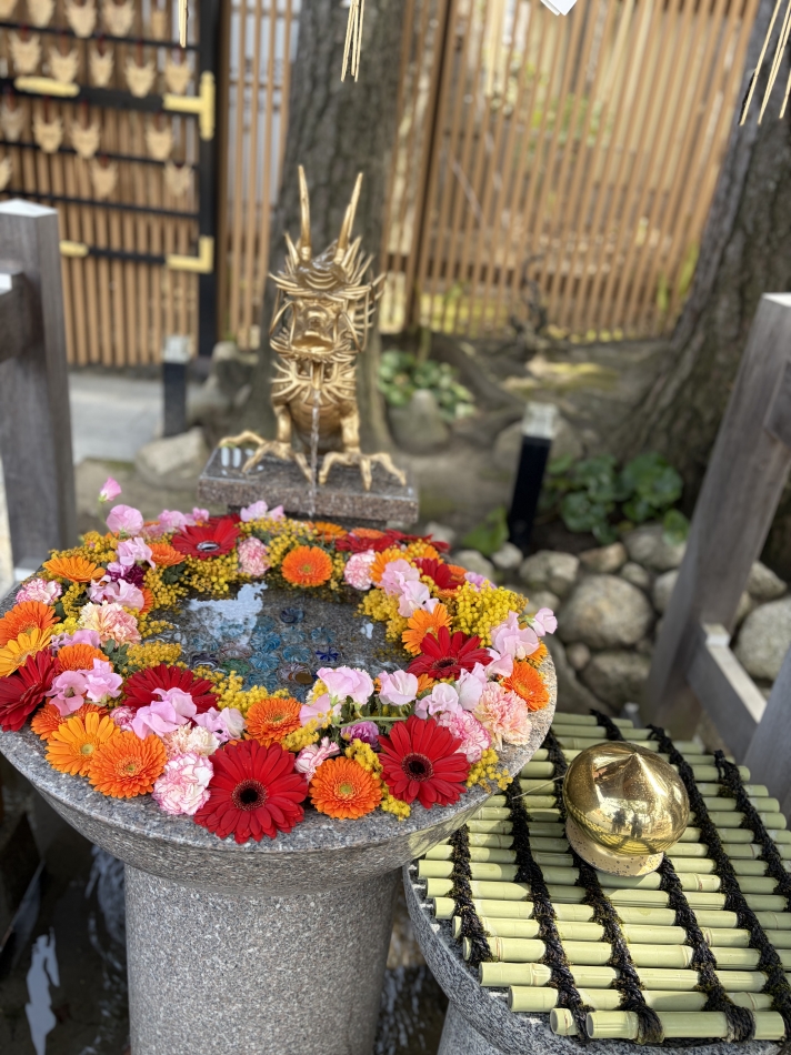 一条 葵