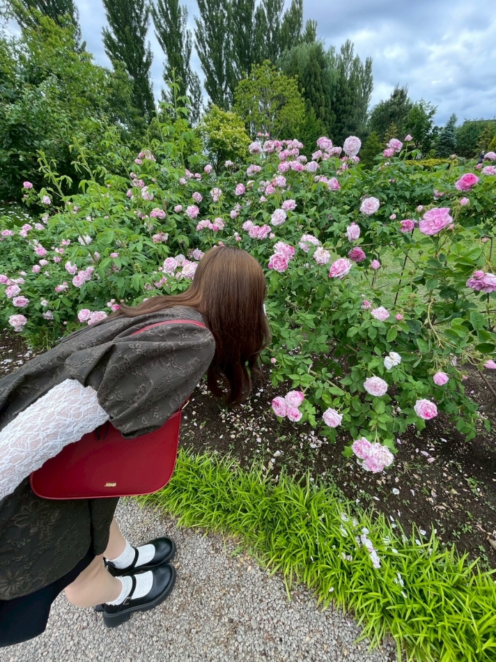 一条 葵