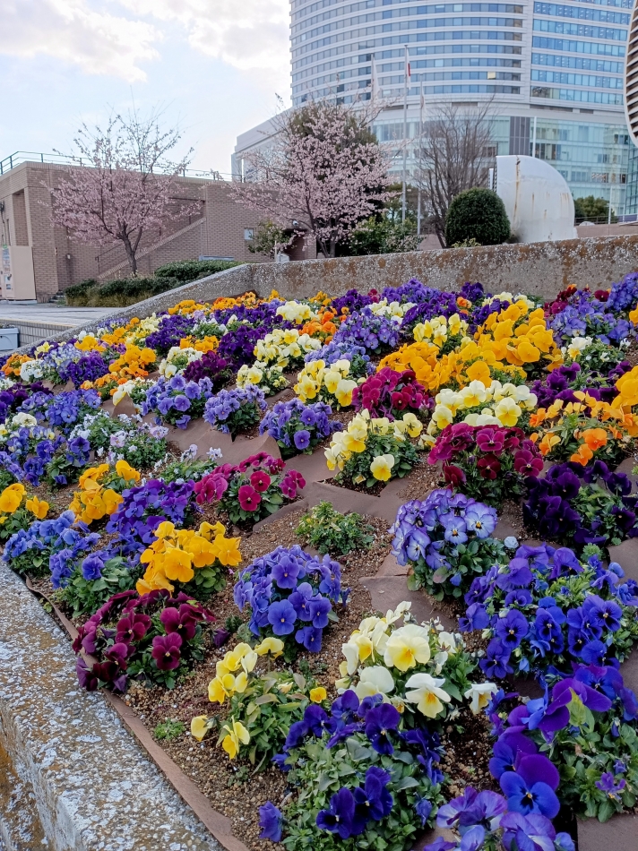 ちょっとだけ嬉しい事