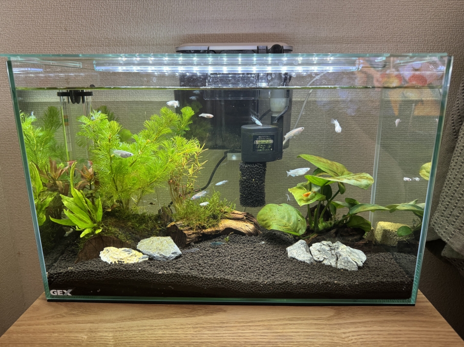 New KANAKO日記1552281